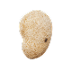 Ambergris